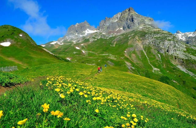 Chalet 800, cosy and luxury mountain chalet near Alpe d'Huez 4p