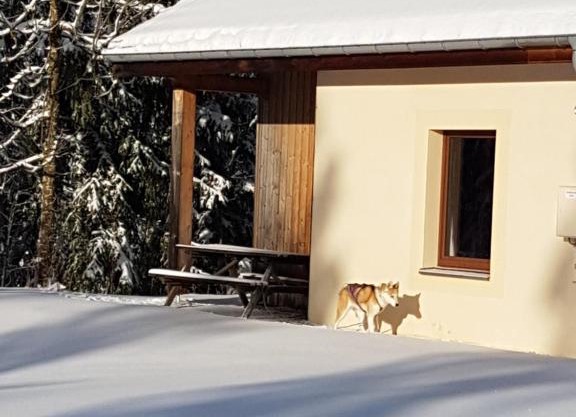 Chalet Beaujon Chapelle-des-Bois