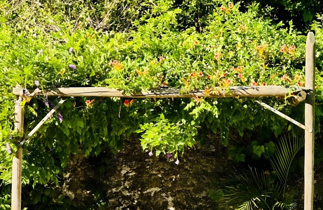 Chalet 'Finca El Búho Oak Natural Park' with Sea Views, Wi-Fi and Air Conditioning