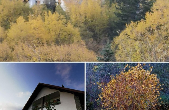 Chalet 'Pearl of the Alta Via'