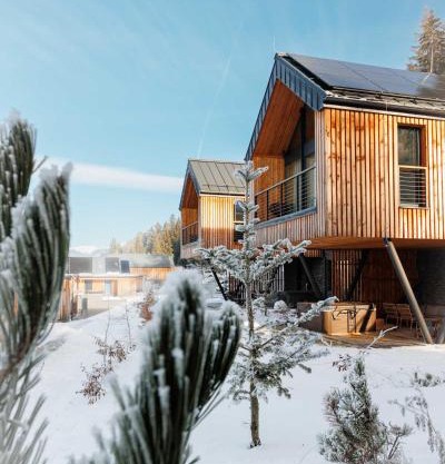 Chalet Wellness TRI VODY Demänovská Dolina