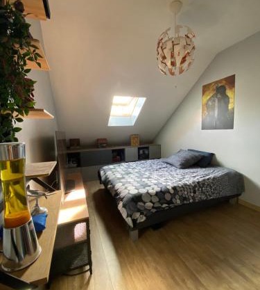 Chambre en duplex, entrée autonome, SDB privative