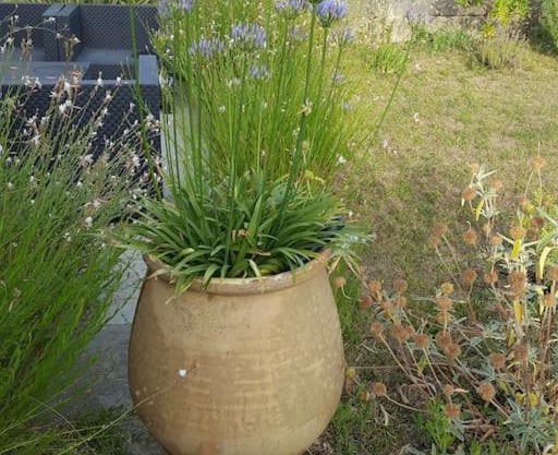 Charmante maison avec jardin et garage.