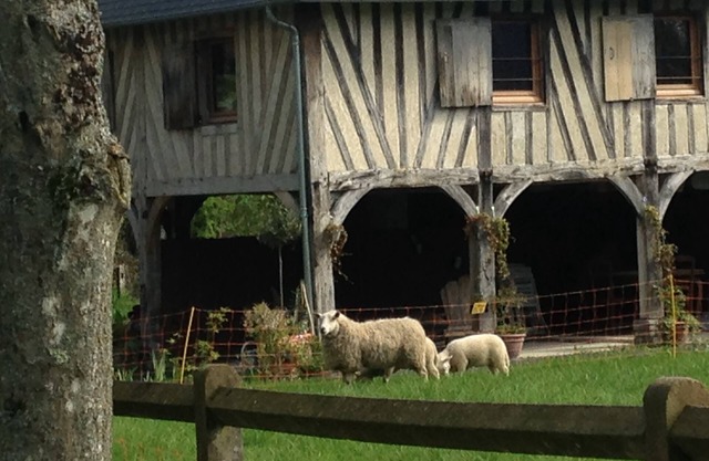 Charming gîte near Honfleur/Deauville with tennis court. 4 ha. Pets welcome!