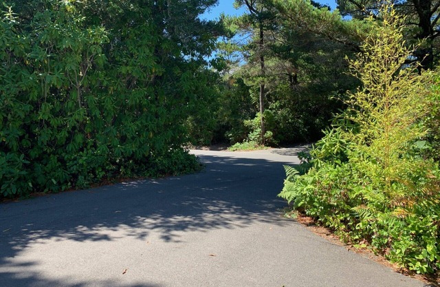 Charming 2-bedroom cottage near Heceta Beach