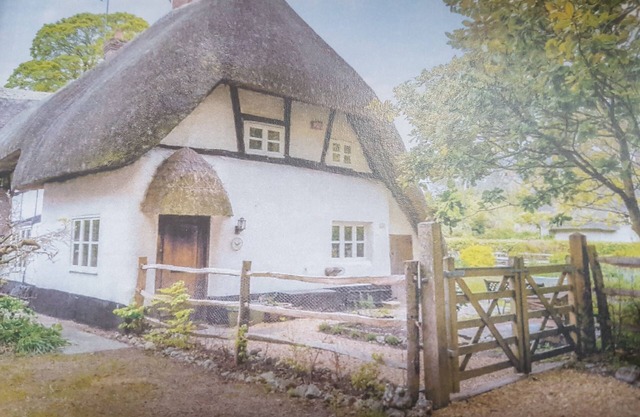 Charming 3 bed Thatched cottage in rural village near Stockbridge Winchester.