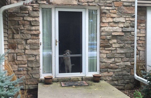 Charming 3-bedroom house with AC and WiFi in De Pere