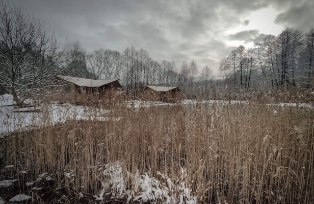 Charming . A Cottage in the Middle of the Woods