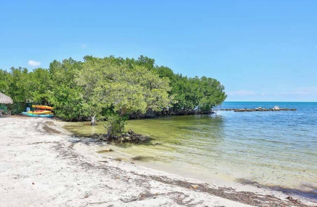 Charming Condo in Picturesque Tavernier - OP 2215