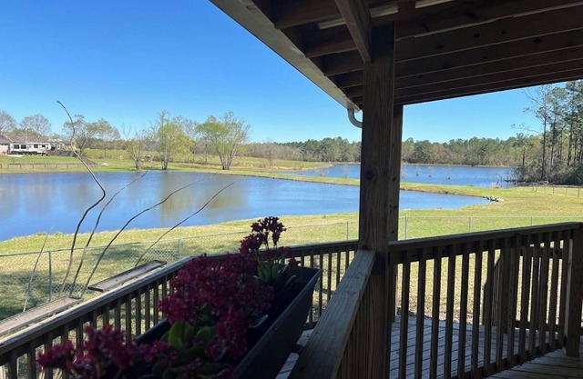 Charming Cottage in Gulfport overlooking 2 beautiful pondsnWIFInPet Friendly