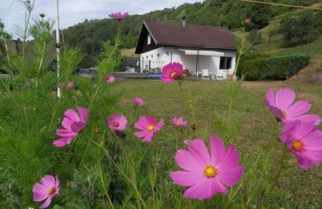 Charming Cottage Near Hiking Trails & River, Ideal for Families – Terrace, WiFi, Scenic Views