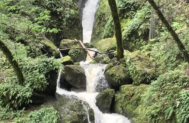 Charming Country Get-Away, 35 Minutes From San Francisco