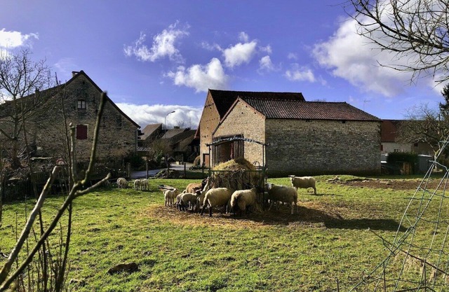 Charming country house in the heart of Burgundy