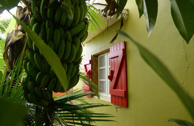 Charming Creole hut in downtown Saint-Pierre