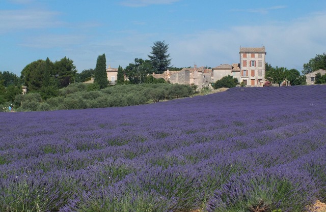 CHARMING GITE IN PROVENCE BETWEEN VENTOUX AND LUBERON DETACHED HOUSE