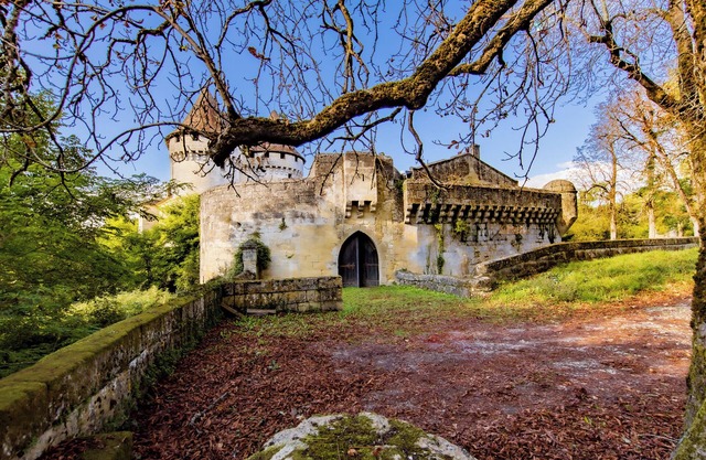 Charming Gîte in Daignac – Nature, Tranquility and Wine Experiences