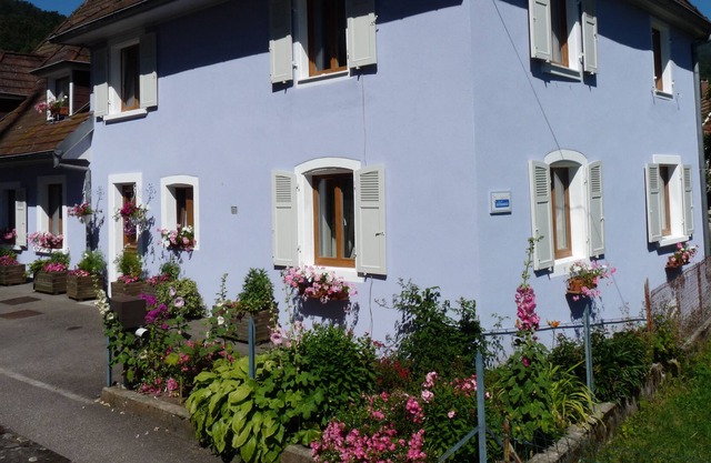 charming gite, on the ground floor, in the heart of the Vosges at the foot of the Ballon d'Alsace