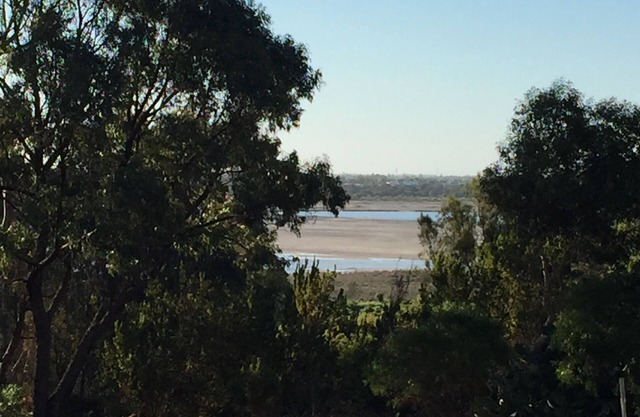 Charming Hilltop Studio: Lake & Native Bush views