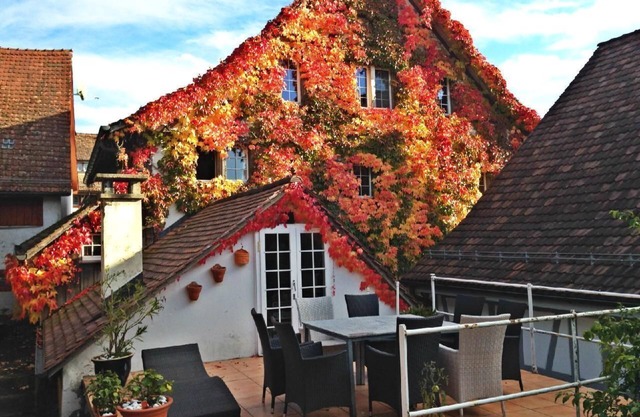 Charming historic house near the Rhine Falls