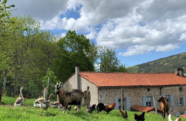 Charming Historical Cottage with Modern Amenities, Fireplace, and Garden in Scenic French Village