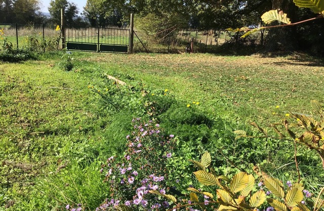 Charming house with private sauna