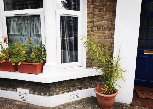 Charming London victorian garden apartment Dulwich