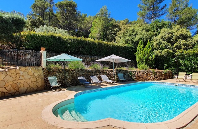 Charming Provencal villa in the heart of the forest and the village of Lorgues