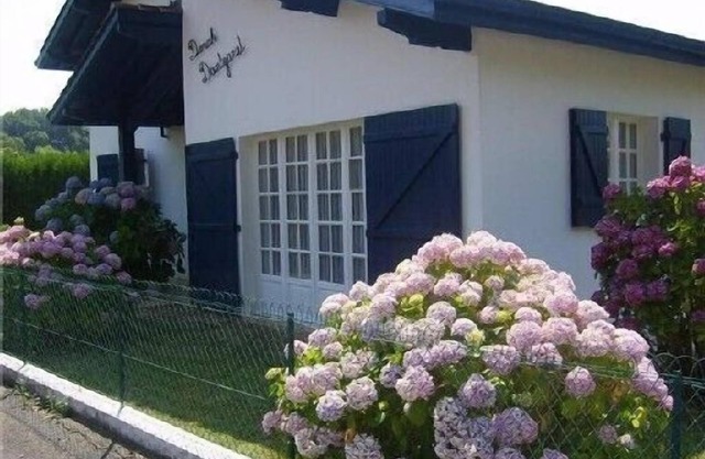 Charming quiet apartment in Villa with garden