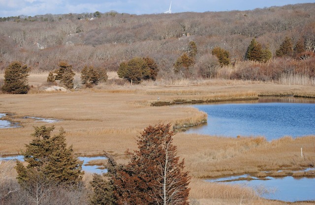 Charming Sea Side Cape Cod Cottage