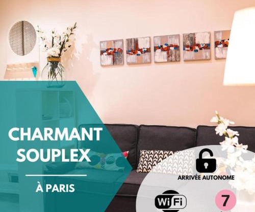 Charming souplex in Paris
