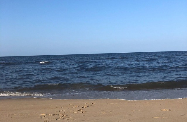 Charming studio by the beach with AC and Heat if needed in Norfolk. Big TV Too