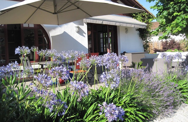 Charming villa and outbuilding 10 pers 5 Bedrooms 3 bathrooms, 15mn from the beach