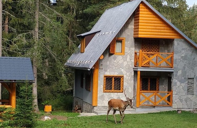 Chata Tatry