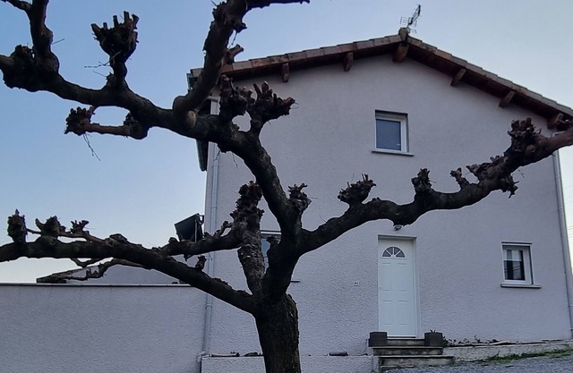 Chateau/Country House