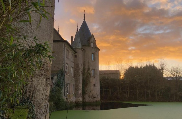 Chateau de la Preuille Gites