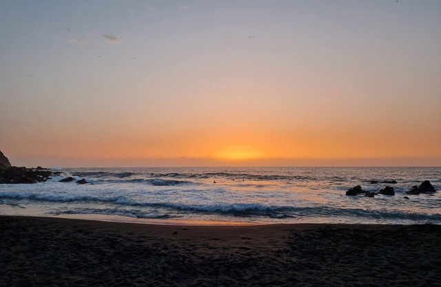 CHC - Casa Canaria La Oliva 2