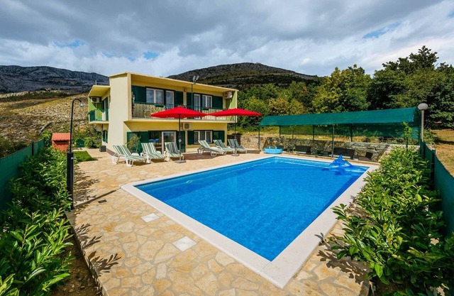 Cherry Tree With Pool Near Split