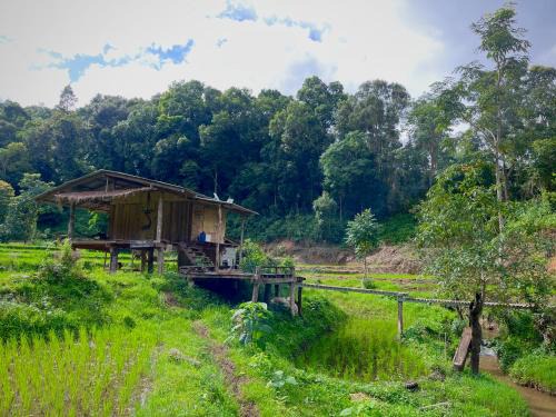 Chibacall ชิบะคอล, Karen Mountain Hideaway Homestay