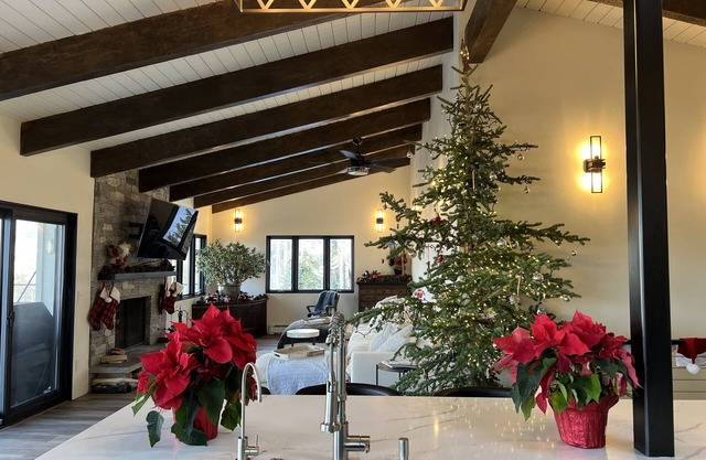 Christmas in Beautiful Snowmass Village! Hot tub, Sauna and Cold Plunge!