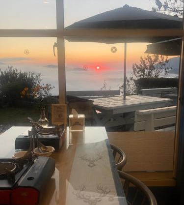 Cingjing Brilliant Twins of Seattle