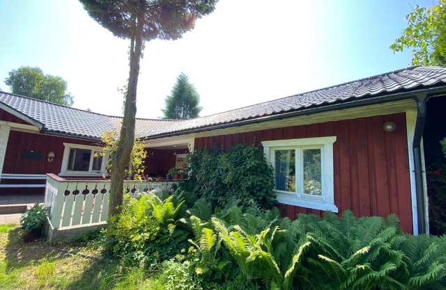 Cisze Kamieniec