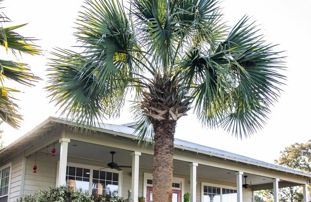 Classic and Comfy Florida House on the Bayou