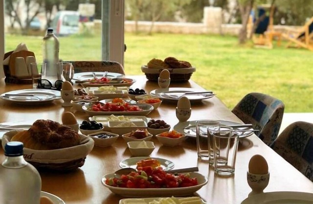 Clementine Suits Sigacik