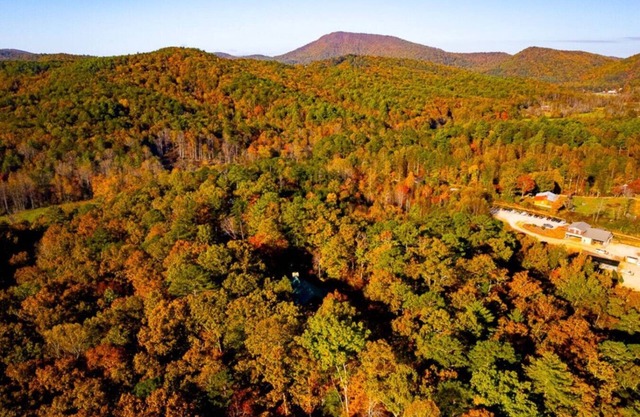 Clyde’s Cabin: Mtn View, Fire Pit, Pet-Friendly