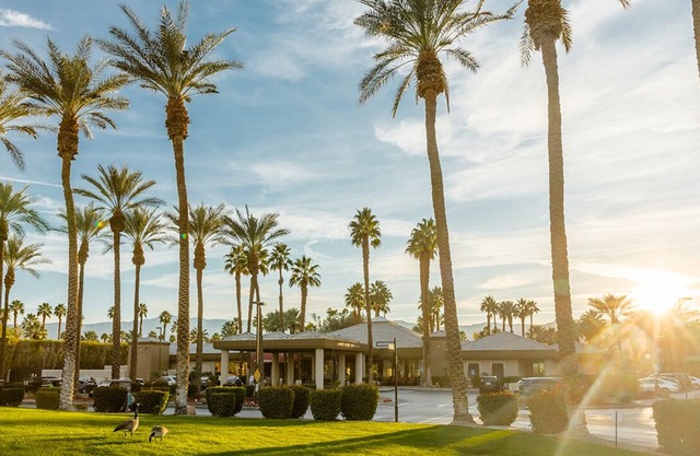 Coachella wk 2, Marriott Desert Springs II, 1 BR , sleeps 4