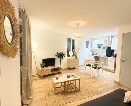 /Cocon paisible hyper centre RODEZ