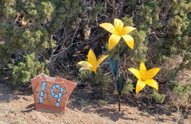 Colorful, cozy, comfortable en suite in Santa Fe, NM
