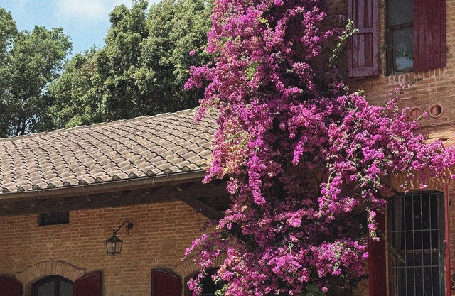 Comet House Farmhouse