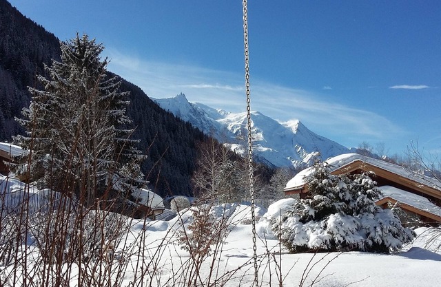 Comfortable Spacious 65 m², Garden, View Mont Blanc, Near Grands Montets,.