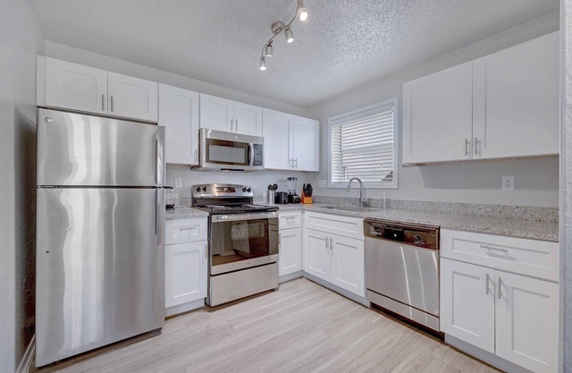 Comfy 2BD Apt | Austin Texas
